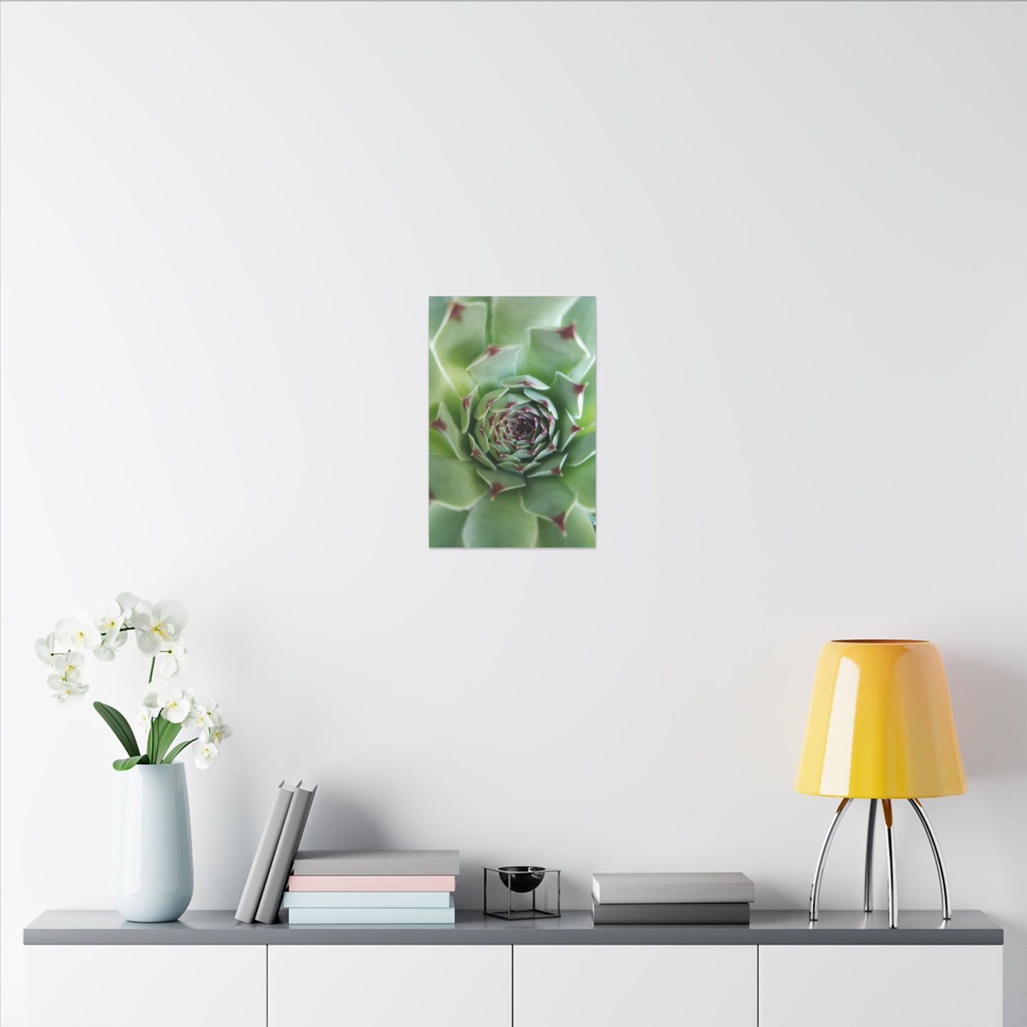succulent canvas for boho home styling