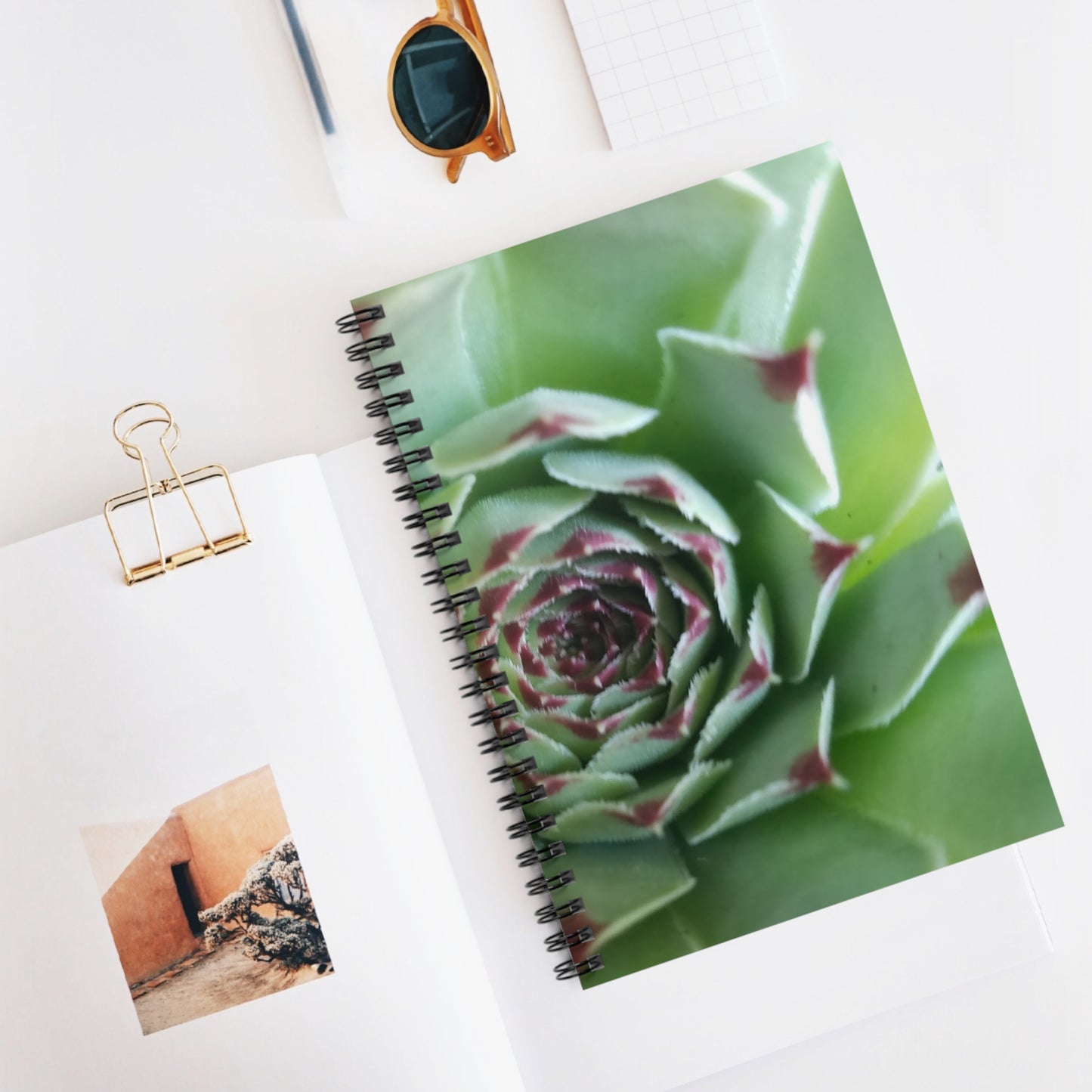 Pale Green Spiky Succulent Spiral Notebook – Botanical Photo Journal for Creative Desert-Inspired Note-Taking