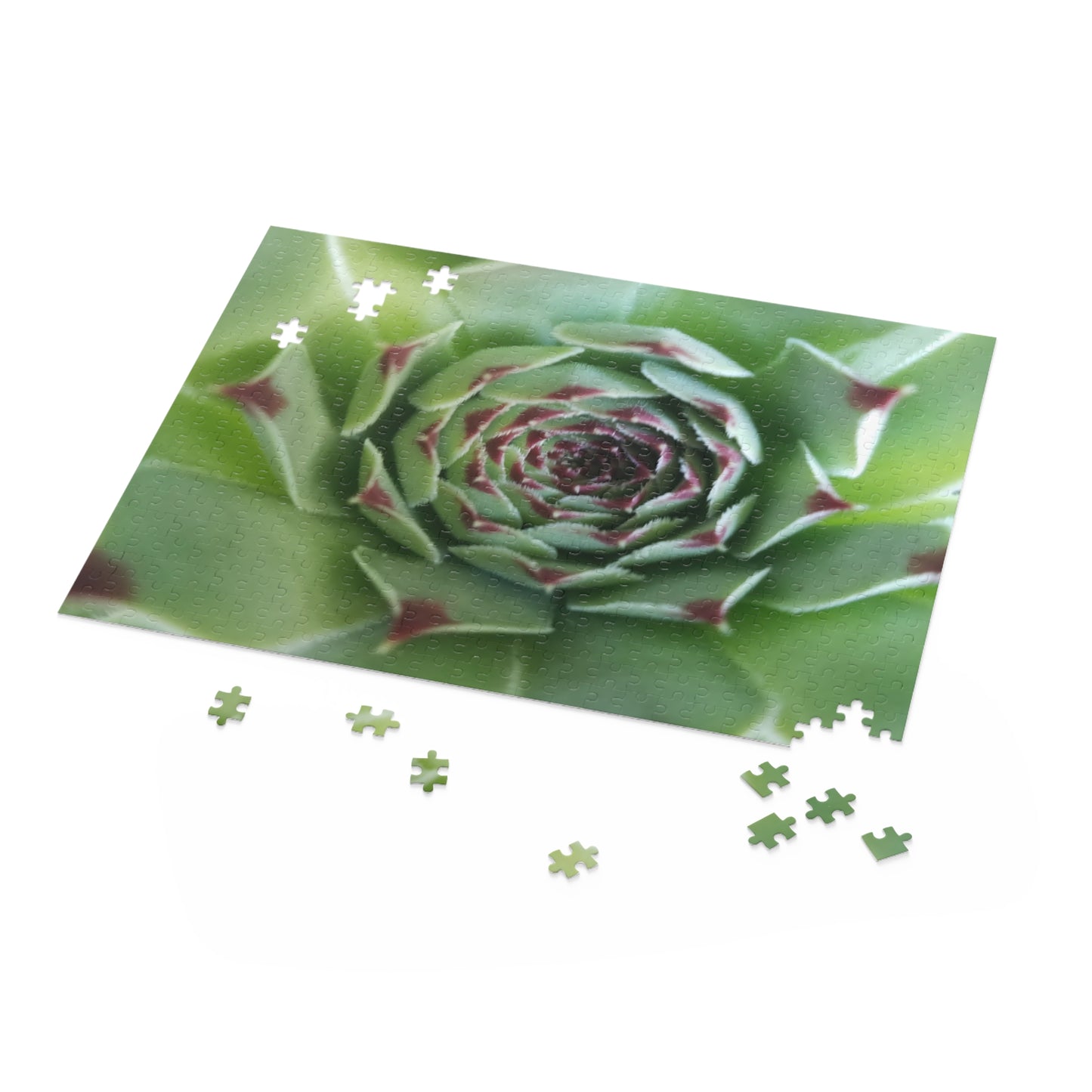 Pale Green Spiky Succulent Puzzle – Minimalist Botanical Jigsaw for Relaxing Desert-Inspired Fun