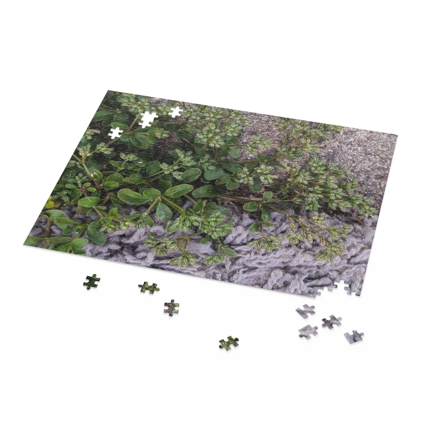 Where the Allseed Grows Puzzle – Urban Nature Minimalist Botanical Jigsaw with Concrete Texture