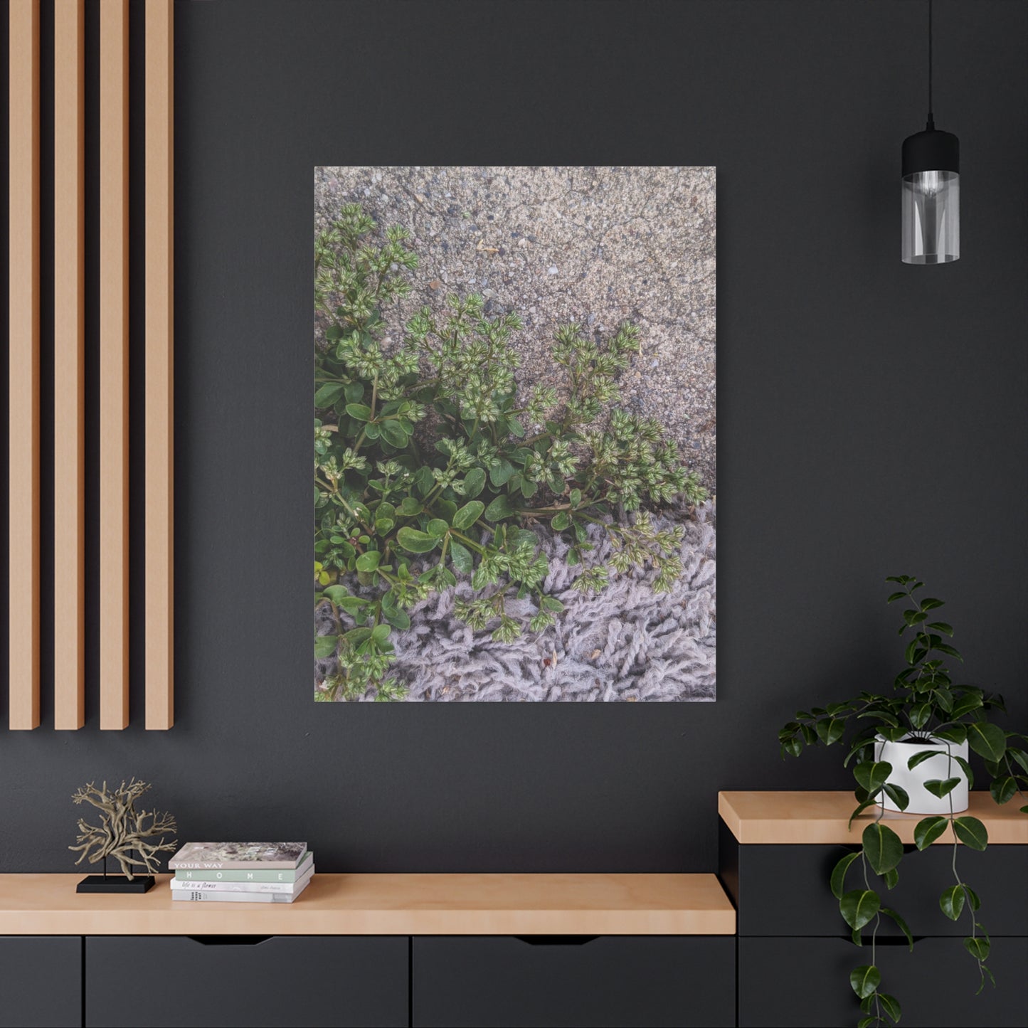 Where the Allseed Grows Canvas Print – Urban Nature Minimalist Botanical Wall Art with Concrete Texture