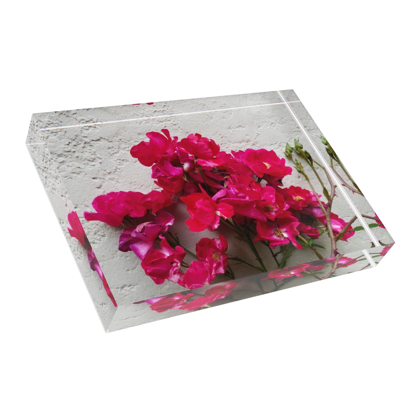 Bougainvillea Against White Stucco Wall Acrylic Print – Mediterranean Floral Wall Art, Summer Bloom Botanical Decor