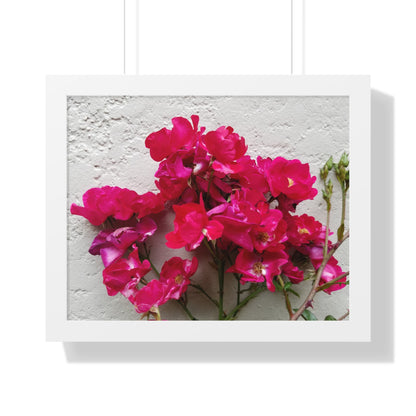 Bougainvillea Against White Stucco Wall Framed Print – Mediterranean Floral Wall Art, Summer Bloom Botanical Decor