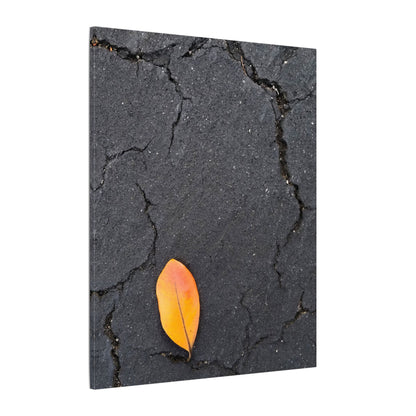 Orange Leaf Against Black Concrete Minimalistic Canvas Print – Contemporary Nature Photography Wall Art