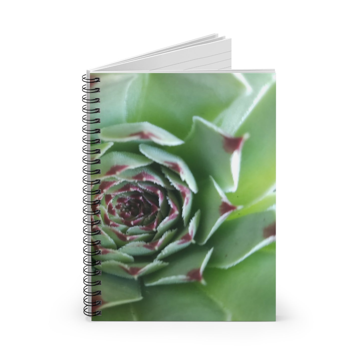 Pale Green Spiky Succulent Spiral Notebook – Botanical Photo Journal for Creative Desert-Inspired Note-Taking