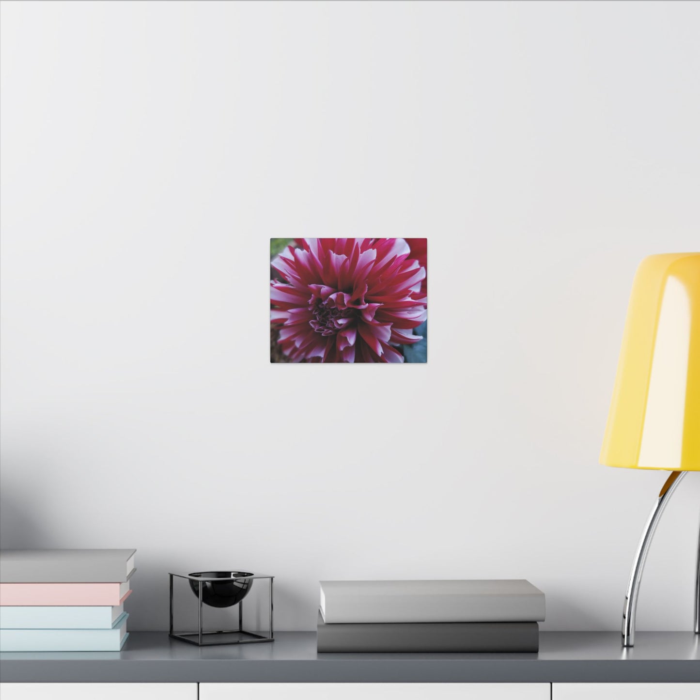 Red and White Dahlia Canvas Print – Bright Floral Nature Photography Wall Art