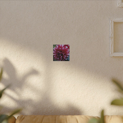 Red and White Dahlia Canvas Print – Bright Floral Nature Photography Wall Art