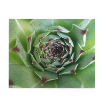 Pale Green Spiky Succulent Puzzle – Minimalist Botanical Jigsaw for Relaxing Desert-Inspired Fun