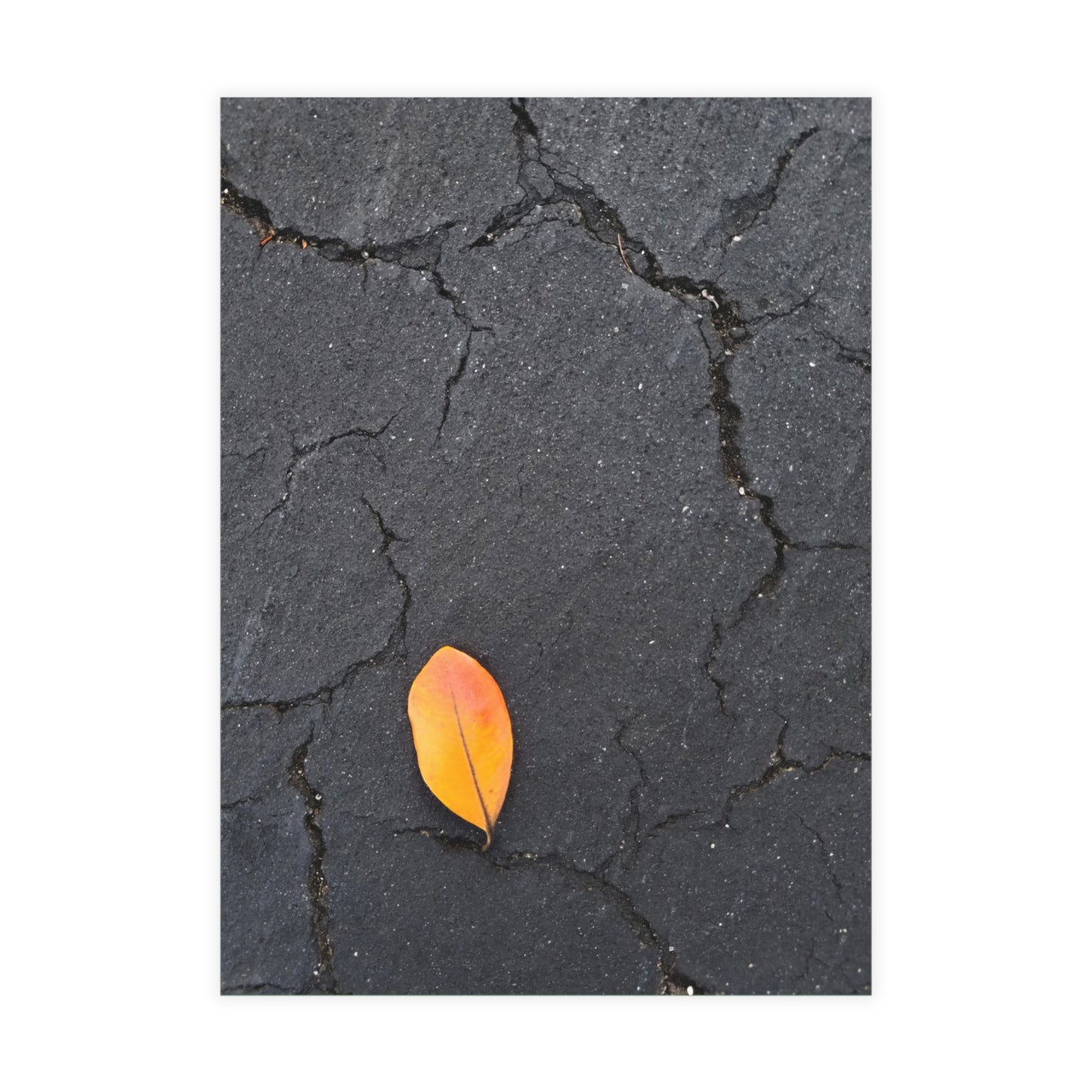Orange Leaf on Black Concrete Inspirational Postcard – Minimalist Autumn Decor for Modern Homes