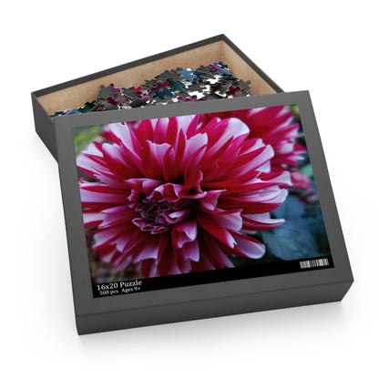 Red and White Dahlia Puzzle – Botanical Floral Jigsaw for Adults, Cottagecore Garden-Inspired Game Night Gift