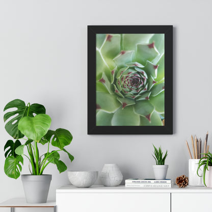 Pale Green Spiky Succulent Framed Print – Minimalist Botanical Wall Art for Desert-Inspired Interiors
