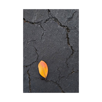 Orange Leaf Against Black Concrete Poster – Minimalist Nature Photography Wall Art