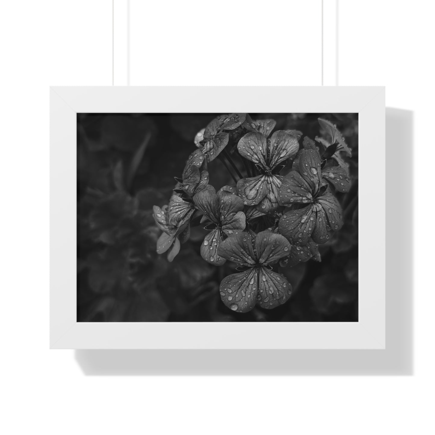 Geranium After a Light Rain Framed Print – Moody Botanical Floral Art, Monochrome Nature-Inspired Wall Decor