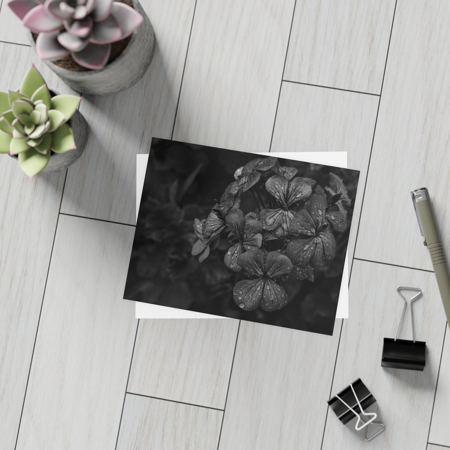 Geranium After a Light Rain Postcard – Moody Botanical Photography, Monochrome Floral Stationery for Thoughtful Correspondence