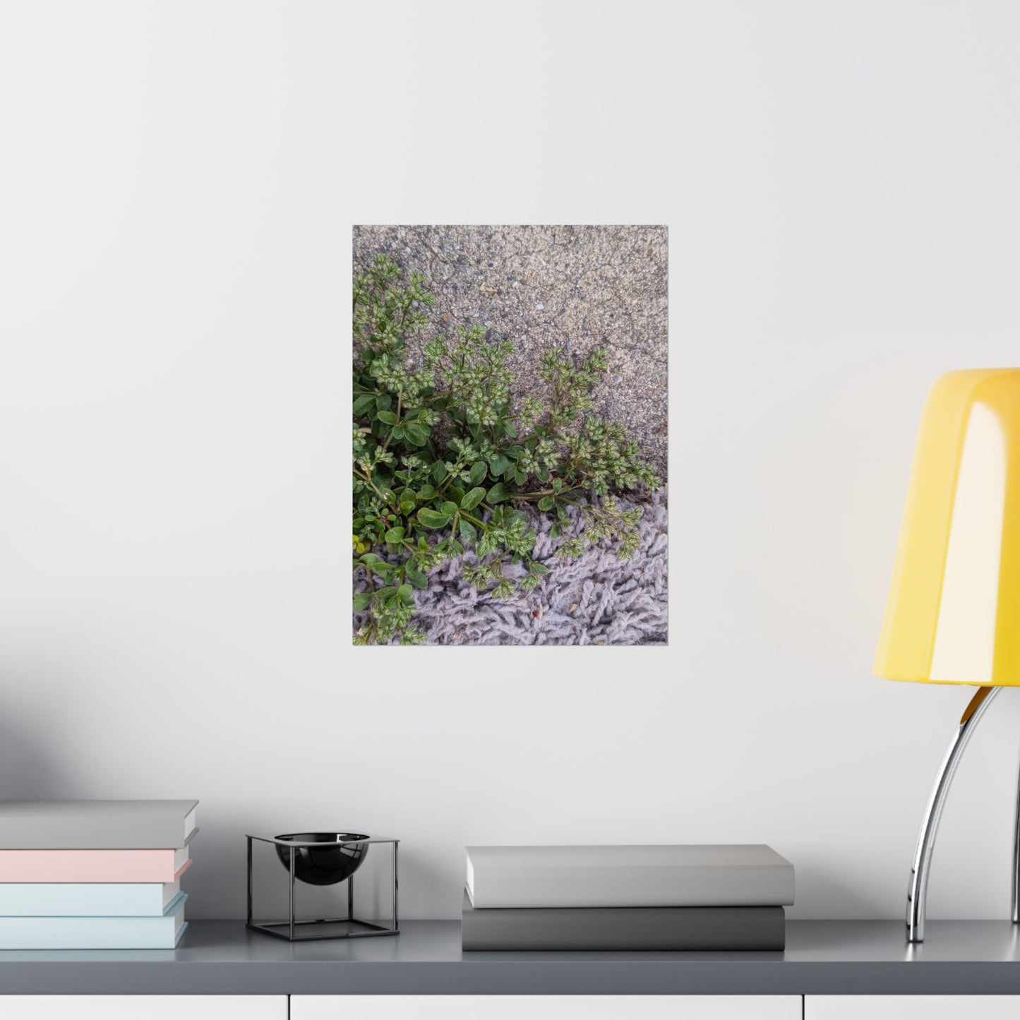 Where the Allseed Grows Poster – Urban Nature Minimalist Wall Art with Concrete Texture and Botanical Contrast