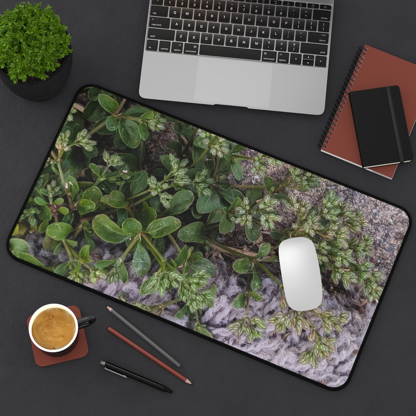 Where the Allseed Grows Desk Mat – Urban Nature Minimalist Botanical Workspace Mat with Concrete Texture Design