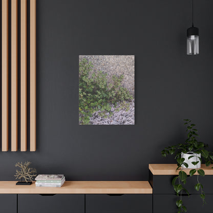 Where the Allseed Grows Canvas Print – Urban Nature Minimalist Botanical Wall Art with Concrete Texture