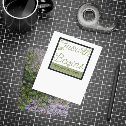 Where the Allseed Grows Postcard – Urban Nature Minimalist Botanical Stationery with Concrete Texture