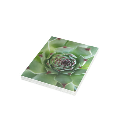 Pale Green Spiky Succulent Postcard – Botanical Art Print for Calm Minimalist Correspondence and Decor