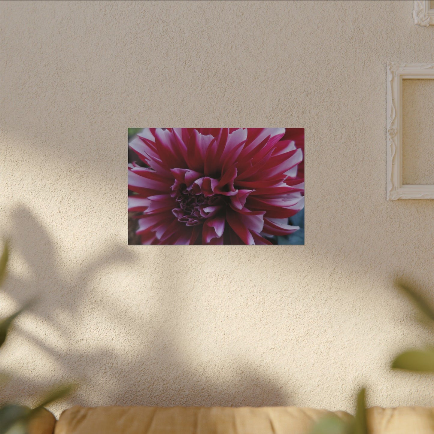 Red and White Dahlia Canvas Print – Bright Floral Nature Photography Wall Art