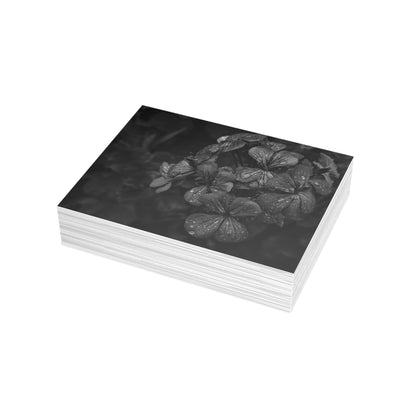 Geranium After a Light Rain Postcard – Moody Botanical Photography, Monochrome Floral Stationery for Thoughtful Correspondence