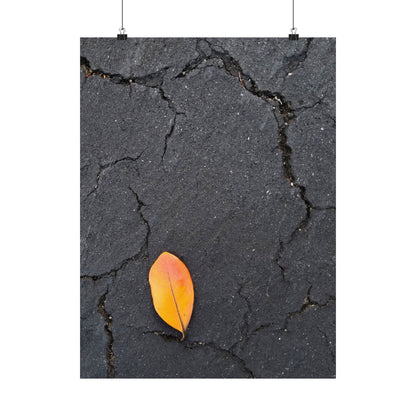 Orange Leaf Against Black Concrete Poster – Minimalist Nature Photography Wall Art