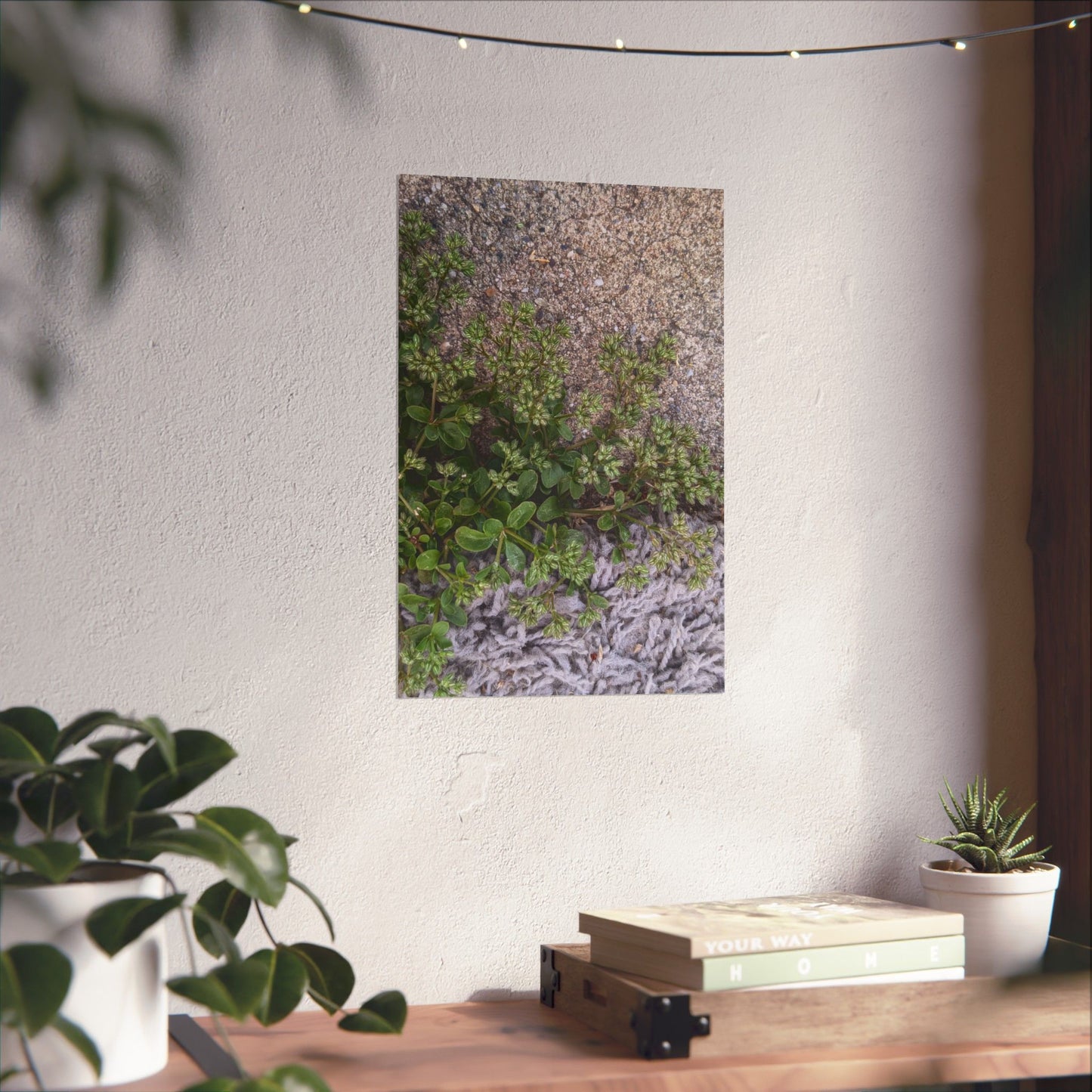 Where the Allseed Grows Poster – Urban Nature Minimalist Wall Art with Concrete Texture and Botanical Contrast