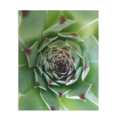 Pale Green Spiky Succulent Puzzle – Minimalist Botanical Jigsaw for Relaxing Desert-Inspired Fun