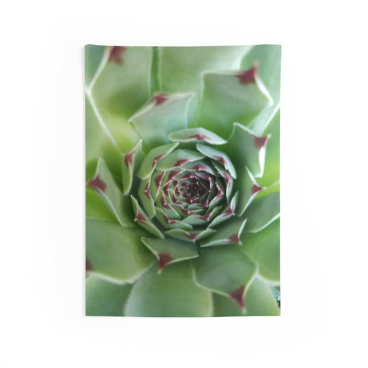 Pale Green Spikey Succulent Wall Tapestry - Botanical Nature Wall Artfor Living Room, Earthy Plant Wall Decor