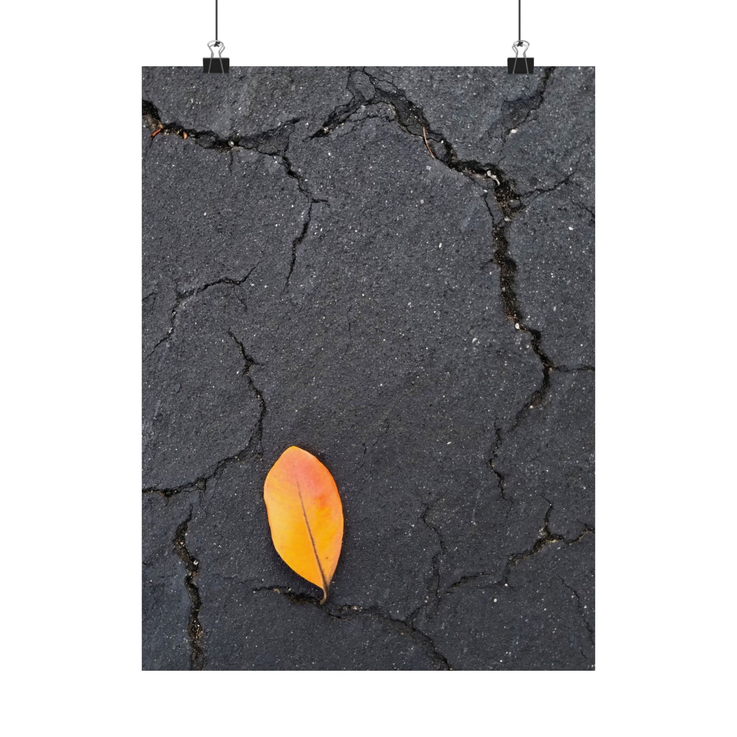 Orange Leaf Against Black Concrete Poster – Minimalist Nature Photography Wall Art