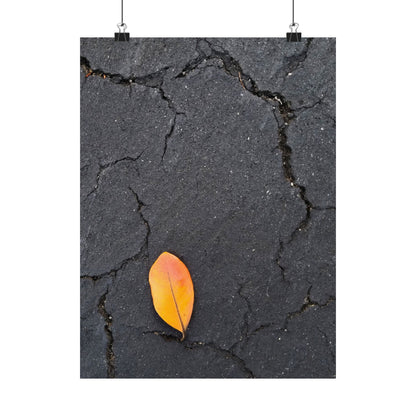 Orange Leaf Against Black Concrete Poster – Minimalist Nature Photography Wall Art
