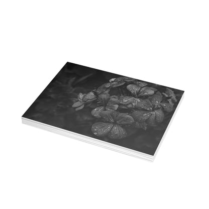 Geranium After a Light Rain Postcard – Moody Botanical Photography, Monochrome Floral Stationery for Thoughtful Correspondence