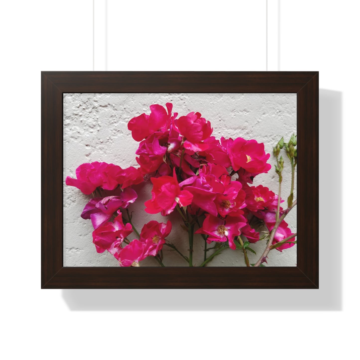 Bougainvillea Against White Stucco Wall Framed Print – Mediterranean Floral Wall Art, Summer Bloom Botanical Decor