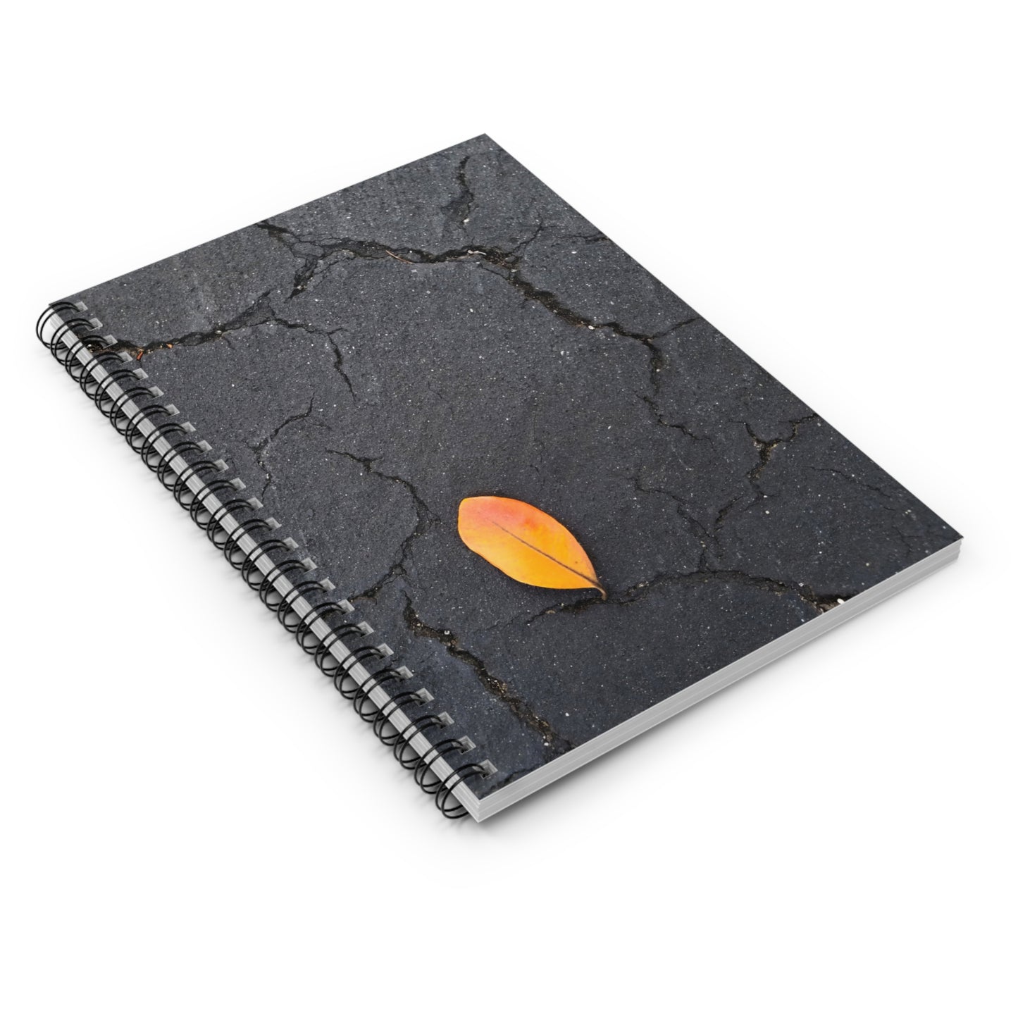 Orange Leaf on Black Concrete Notebook – Urban Autumn Journal for Minimalist Fall Writing and Modern Rustic Style
