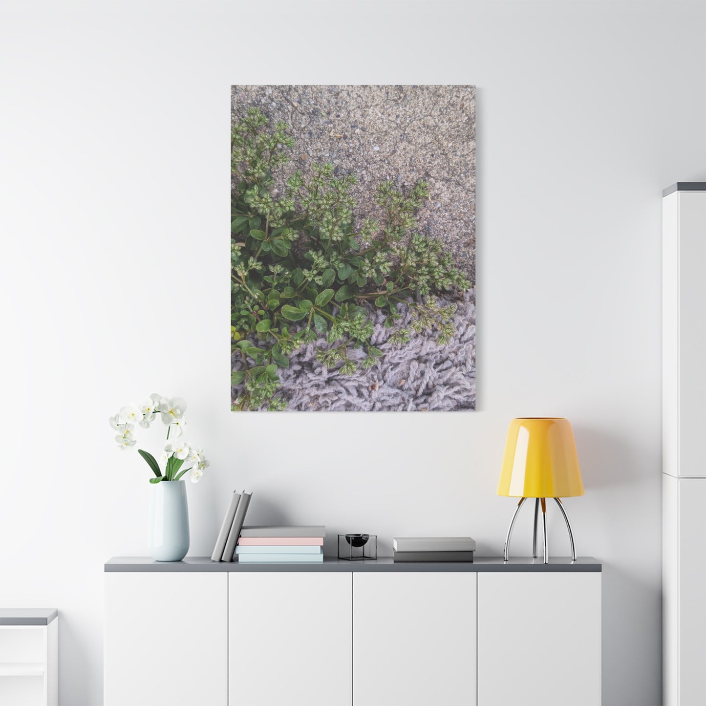 Where the Allseed Grows Canvas Print – Urban Nature Minimalist Botanical Wall Art with Concrete Texture