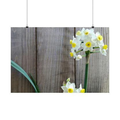 Daffodils by the Fence Poster – Rustic Spring Floral Wall Art for Cottagecore and Botanical Decor