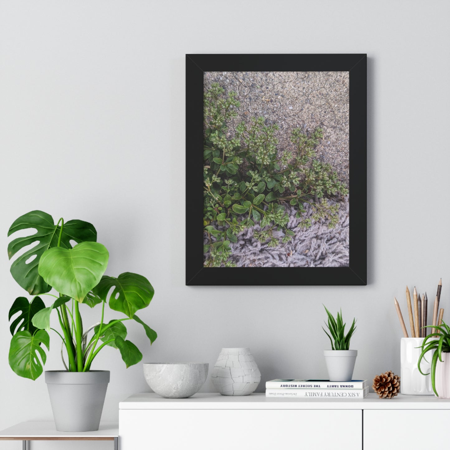 Where the Allseed Grows Framed Print – Urban Nature Minimalist Botanical Wall Art with Concrete Texture