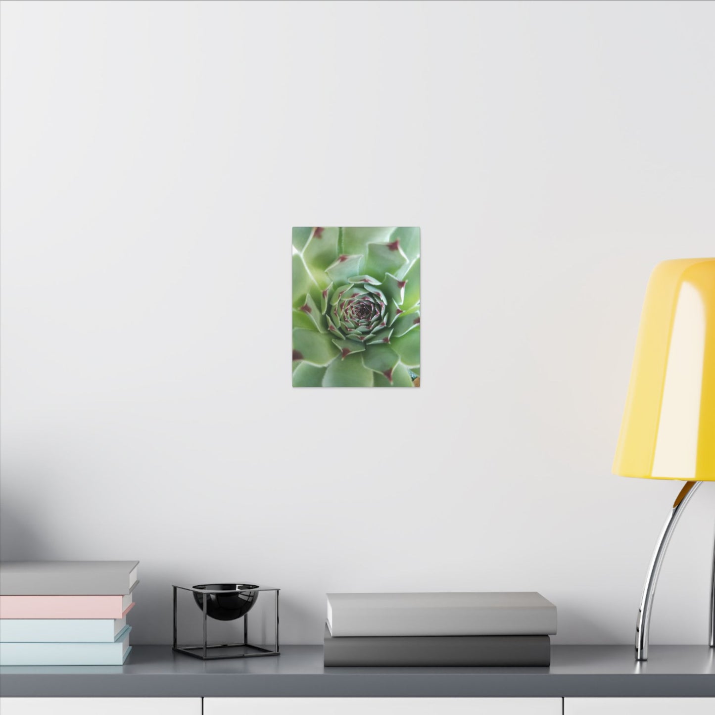 muted tone succulent art decor