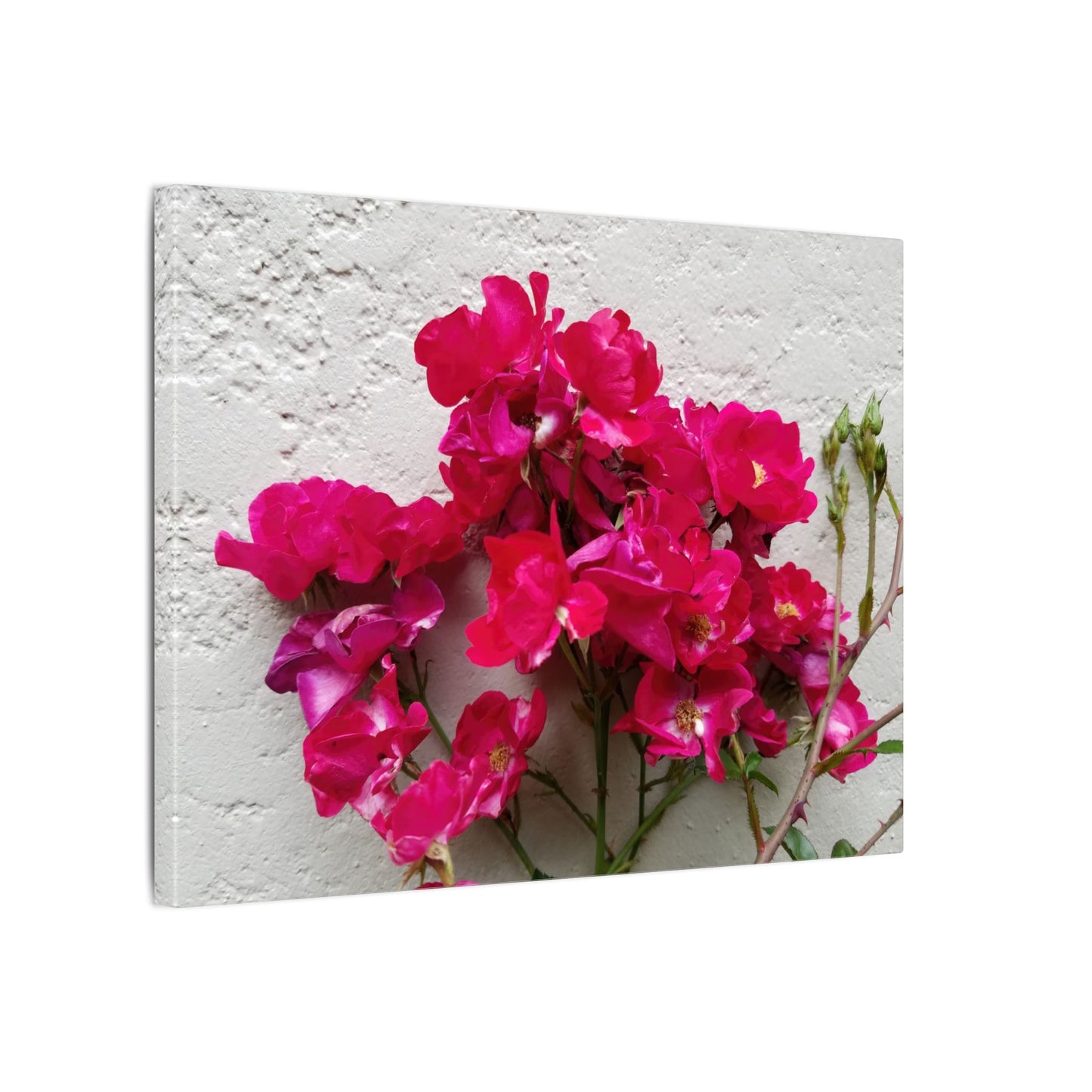 Vibrant bougainvillea canvas wall hanging for bedrooms