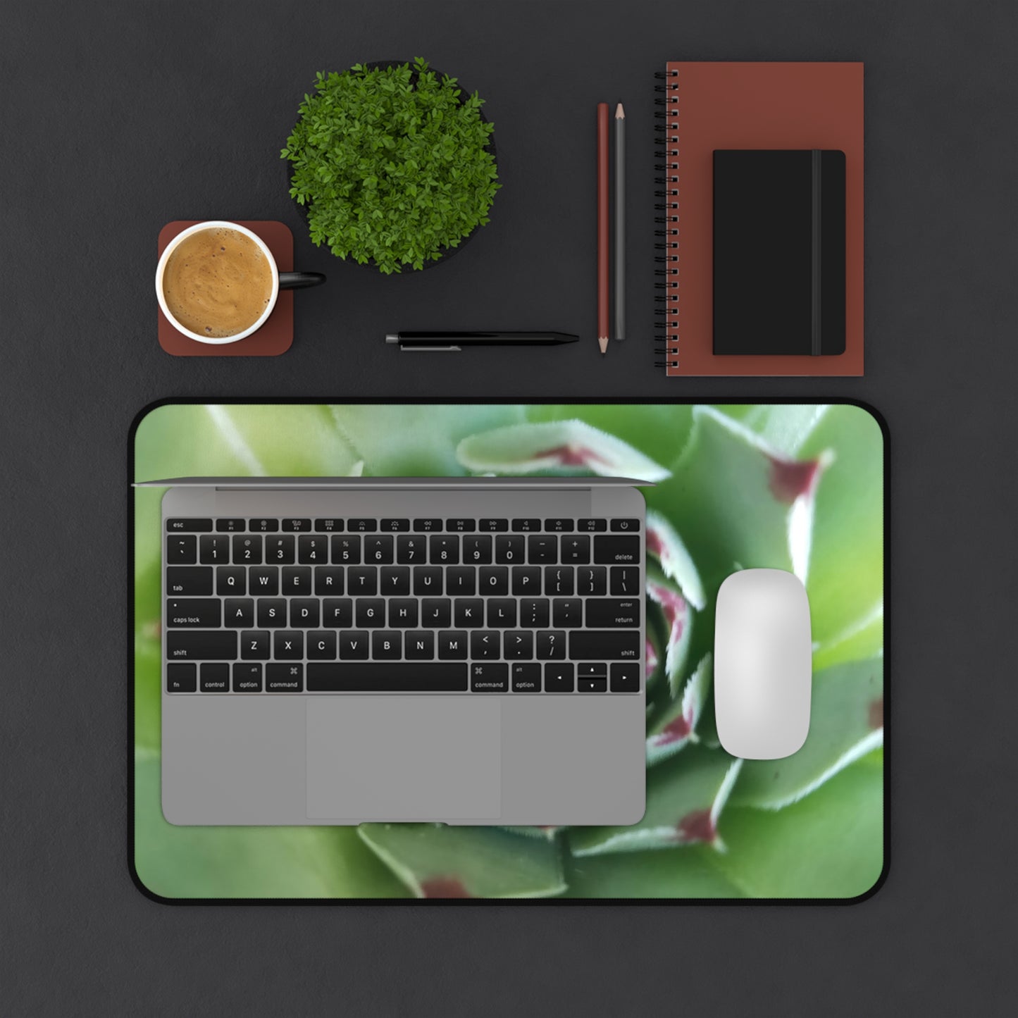 Pale Green Spiky Succulent Desk Mat – Minimalist Botanical Desk Accessory for Modern Office Decor