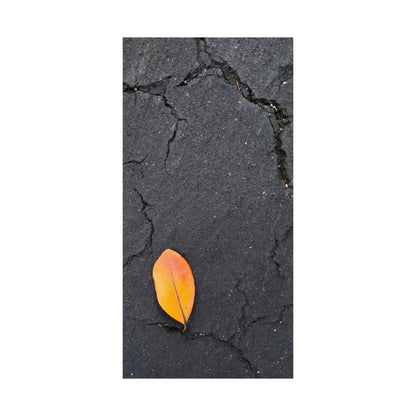 Orange Leaf Against Black Concrete Poster – Minimalist Nature Photography Wall Art