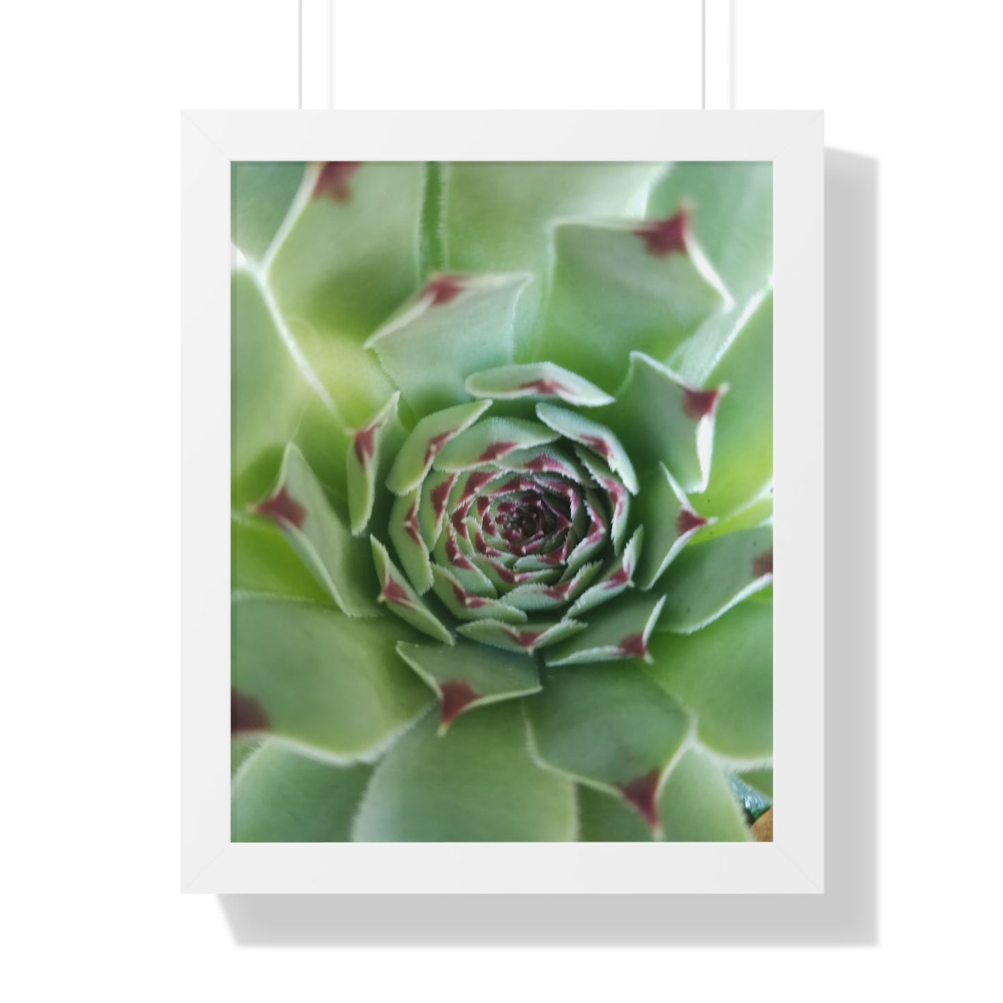 Pale Green Spiky Succulent Framed Print – Minimalist Botanical Wall Art for Desert-Inspired Interiors