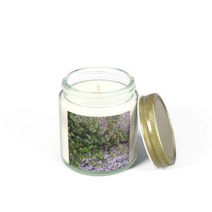 Where the Allseed Grows Jar Candle – Urban Nature Minimalist Scented Candle with Botanical Concrete Texture