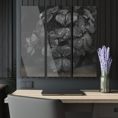 Geranium After a Light Rain Acrylic Triptych – Black and White Floral Triptych Wall Art for Modern Botanical Home Decor