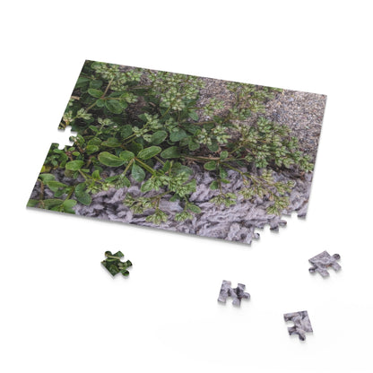 Where the Allseed Grows Puzzle – Urban Nature Minimalist Botanical Jigsaw with Concrete Texture
