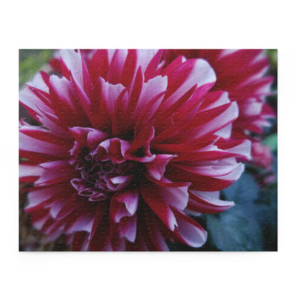 Red and White Dahlia Puzzle – Botanical Floral Jigsaw for Adults, Cottagecore Garden-Inspired Game Night Gift