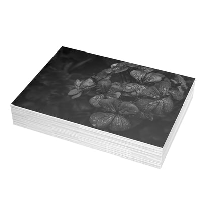 Geranium After a Light Rain Postcard – Moody Botanical Photography, Monochrome Floral Stationery for Thoughtful Correspondence