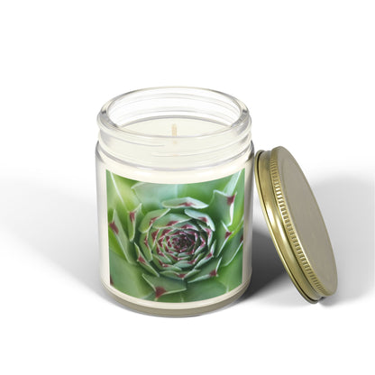 Pale Green Spiky Succulent Jar Candle – Minimalist Botanical Image Candle for Calm Desert-Inspired Decor