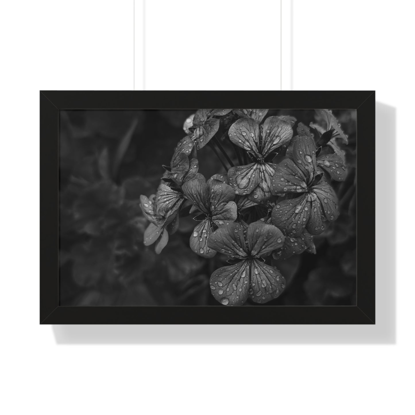 Geranium After a Light Rain Framed Print – Moody Botanical Floral Art, Monochrome Nature-Inspired Wall Decor
