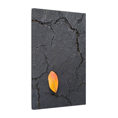 Orange Leaf Against Black Concrete Minimalistic Canvas Print – Contemporary Nature Photography Wall Art